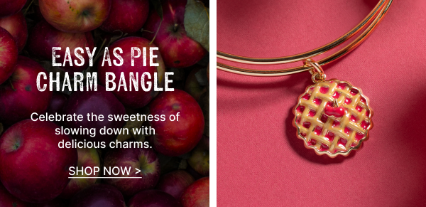 EASY AS PIE CHARM BANGLE