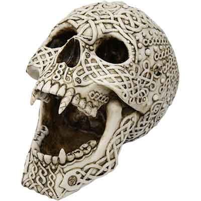 Image of Fanged Celtic Skull