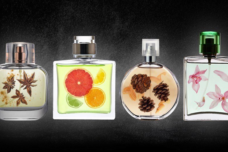 4 Fragrences from Each Fragrance Family