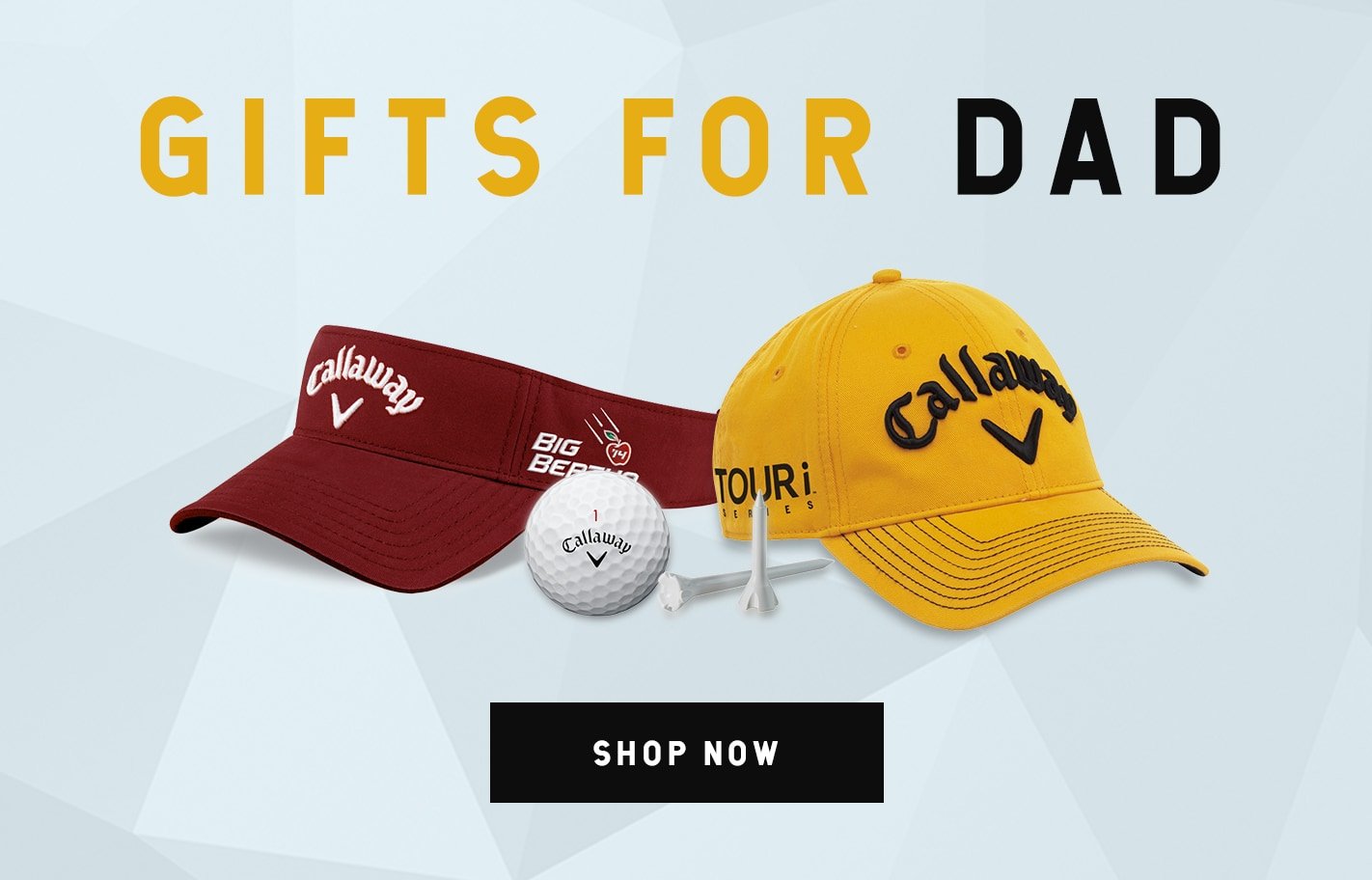 Gifts For Dad! Shop Now