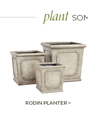 Rodin Planter