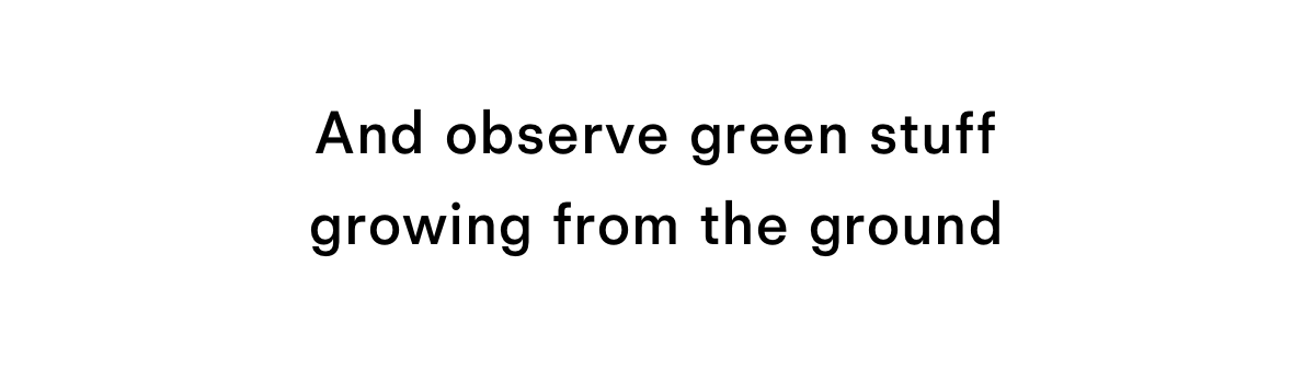 And observe green stuff growing from the ground