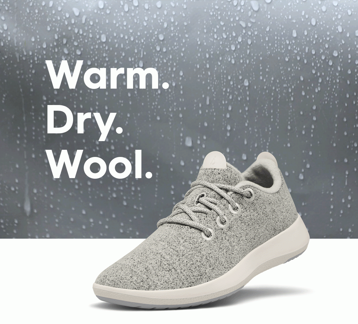 Allbirds in sale snow