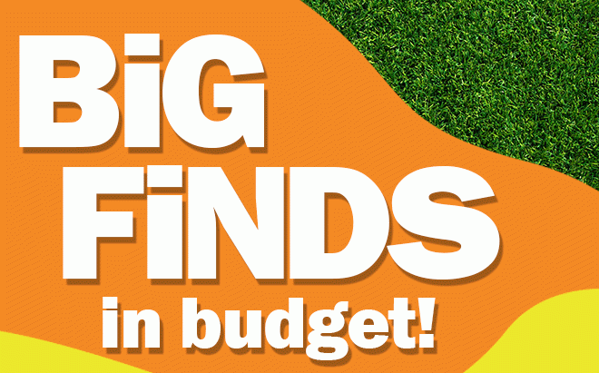 big finds in budget!