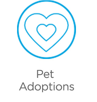 Pet adoptions.