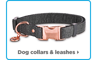 Dog collars & leashes > 