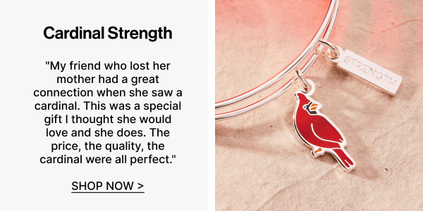 'Strength' Cardinal Duo Charm Bangle Bracelet