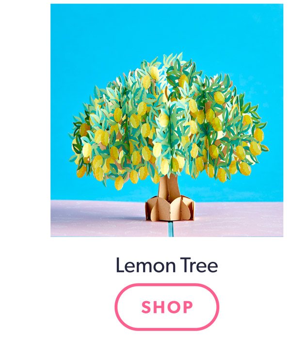 Shop Lemon Tree