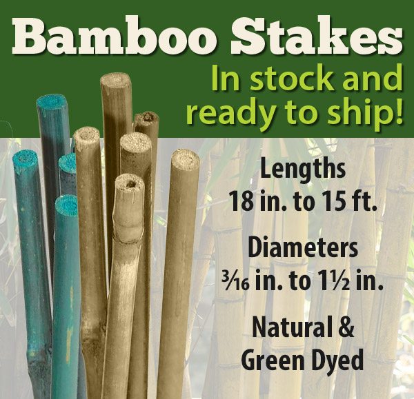 Bamboo Stakes. New expanded selection, in stock and ready to ship! Shop now.