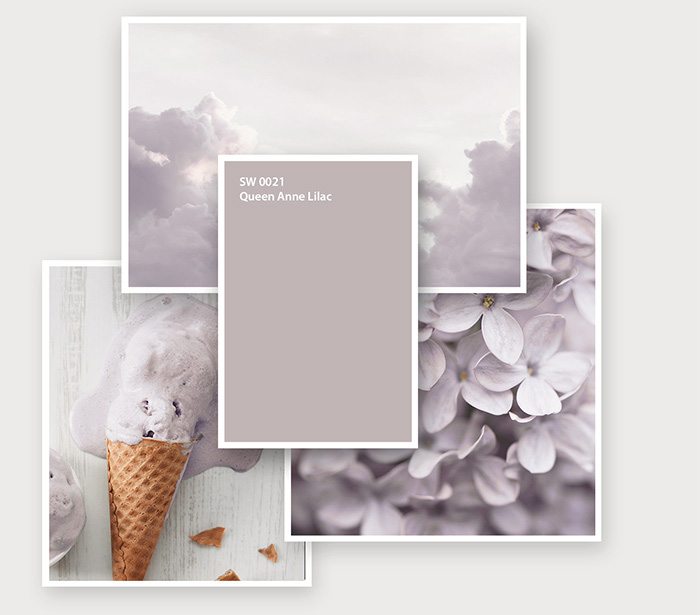 Image of SW0021 Queen Anne Lilac and coordinating swatches.