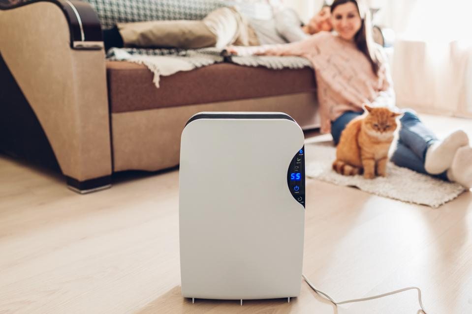 The 7 Best Dehumidifiers To Protect Your Health And Your Home
