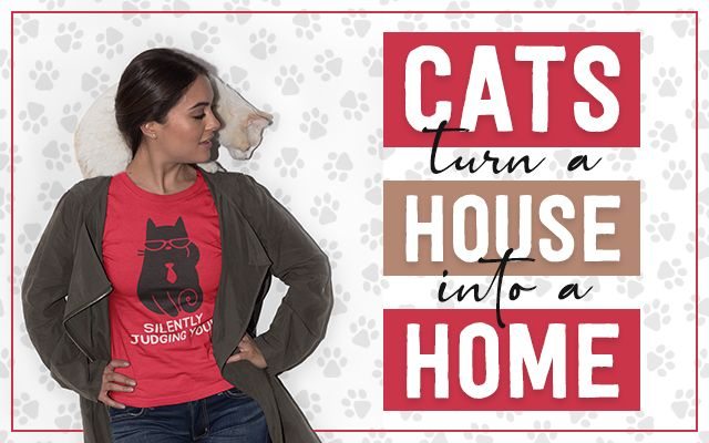 Cats turn a house into a home