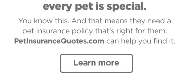 Every pet is special. You know this. And that means they need a pet insurance policy that's right for them. PetInsuranceQuotes.com can help you find it. Learn more.