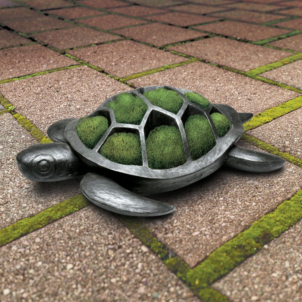 Turtle Planter