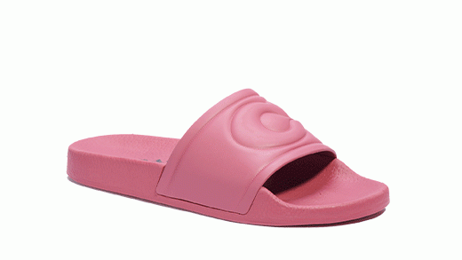 Shop Coach Slides.