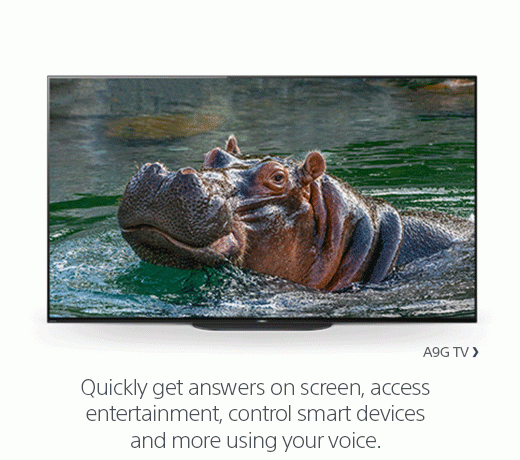 "Hey Google, what sound does a hippo make?" | Quickly get answers on screen, access entertainment, control smart devices and more using your voice.