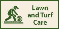 Lawn and Turf Care