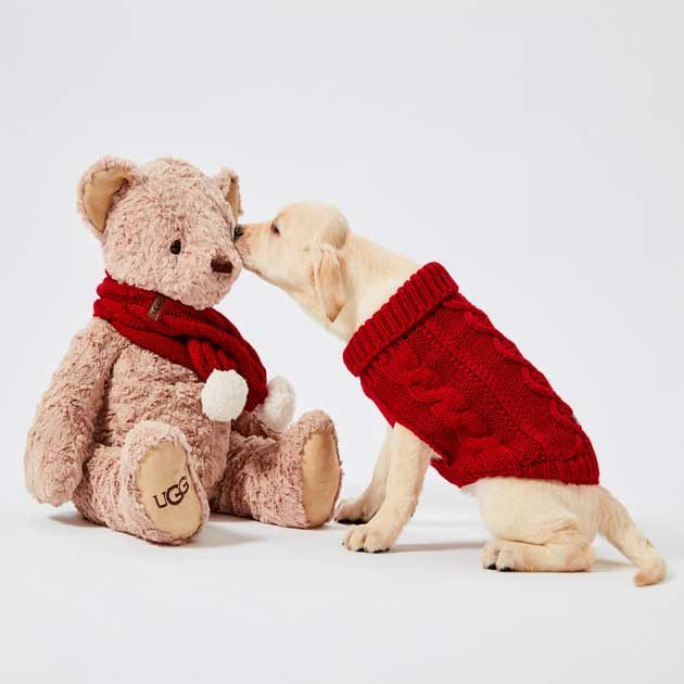 introducing cozy gifts from UGG 