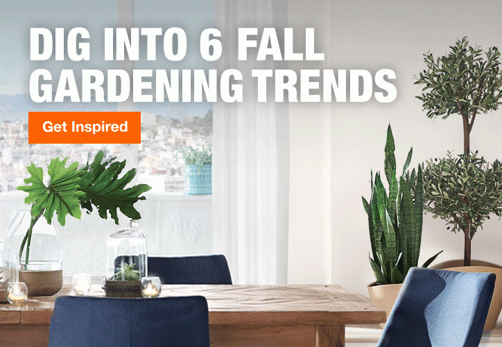 DIG INTO 6 FALL GARDENING TRENDS