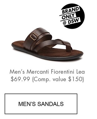 dsw mens flip flops