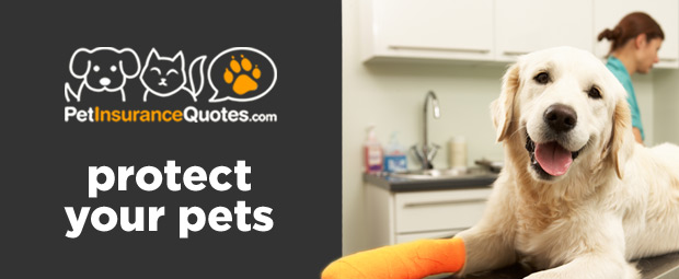 PetInsuranceQuotes.com. Protect your pets.