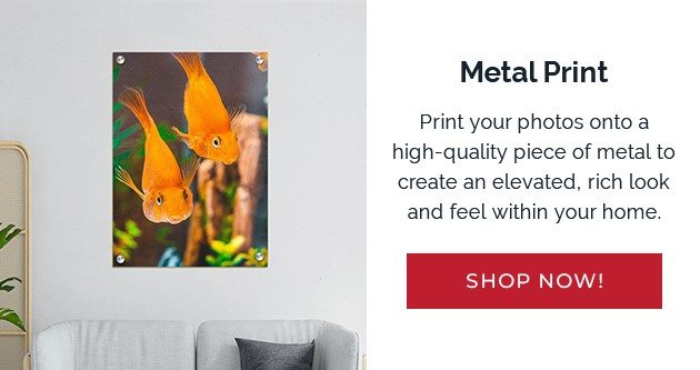 Metal Print