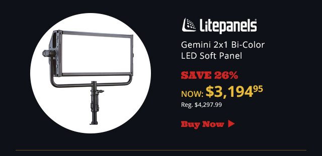 Litepanels Gemini 2x1 Bi-Color LED Soft Panel Includes 10' C Stand Base Kit and Barndoors