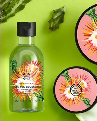 Cactus: shop now