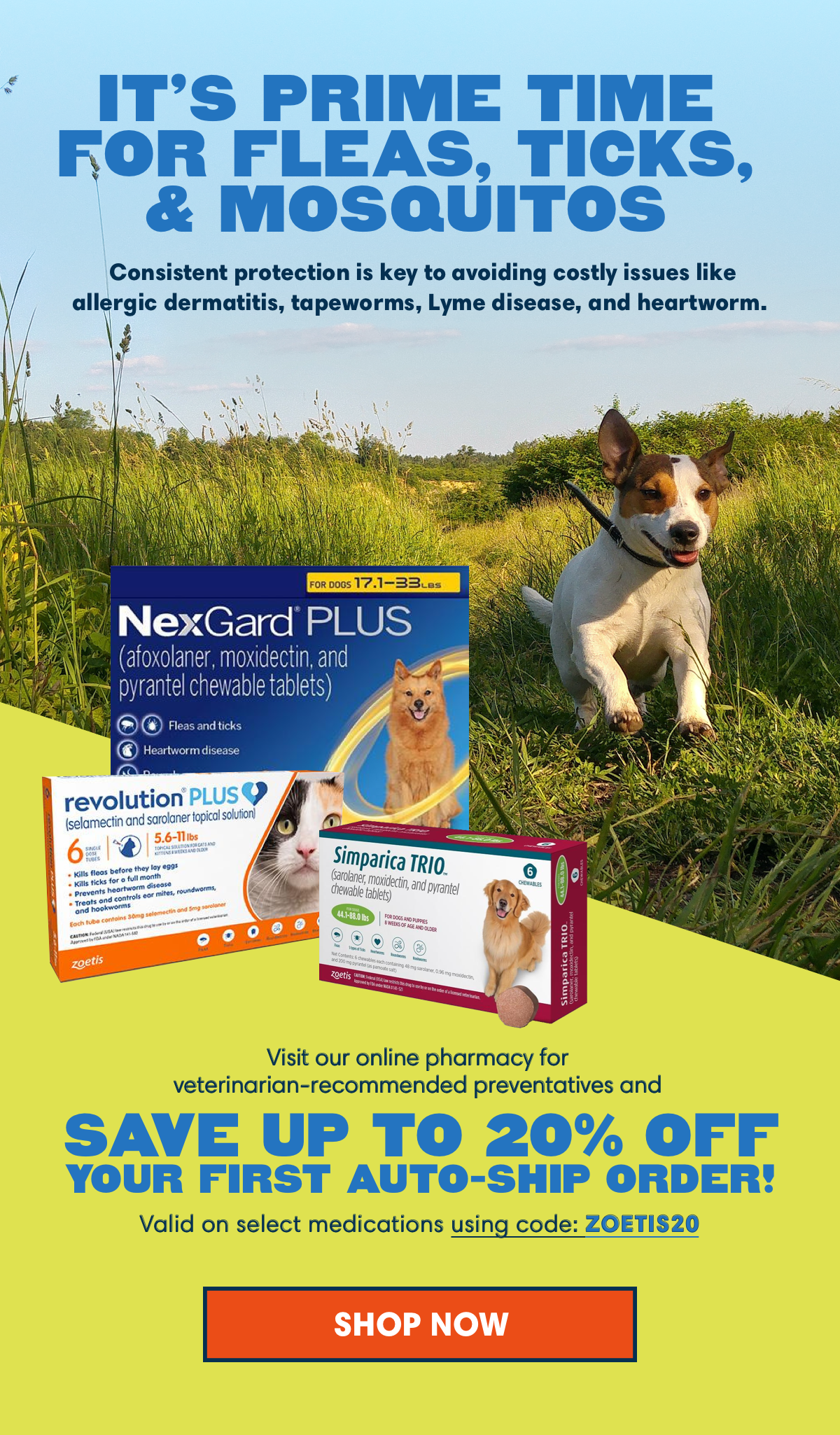 Prime time for flea and tick protection is here. Shop now and save on essential pet care products!