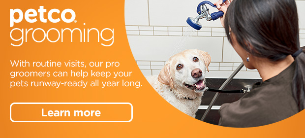 Petco Grooming. With routine visits, our pro groomers can help keep your pets runway-ready all year long. Learn more. 