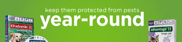 Keep them protected from pests year-round.