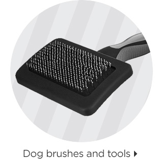 Dog brushes and tools > 