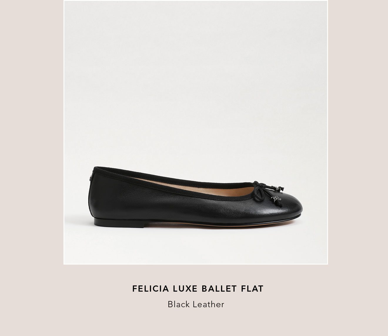 Felicia Luxe Ballet Flat - Black Leather