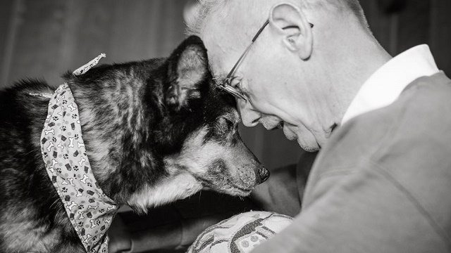 Elderly Volunteer Saves Blind Dog With Cancer From Death Row