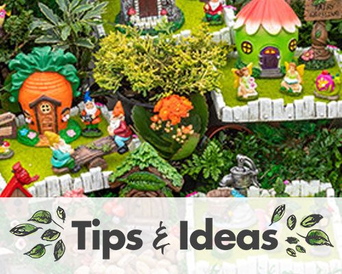 Create Your Own Fairy Garden!