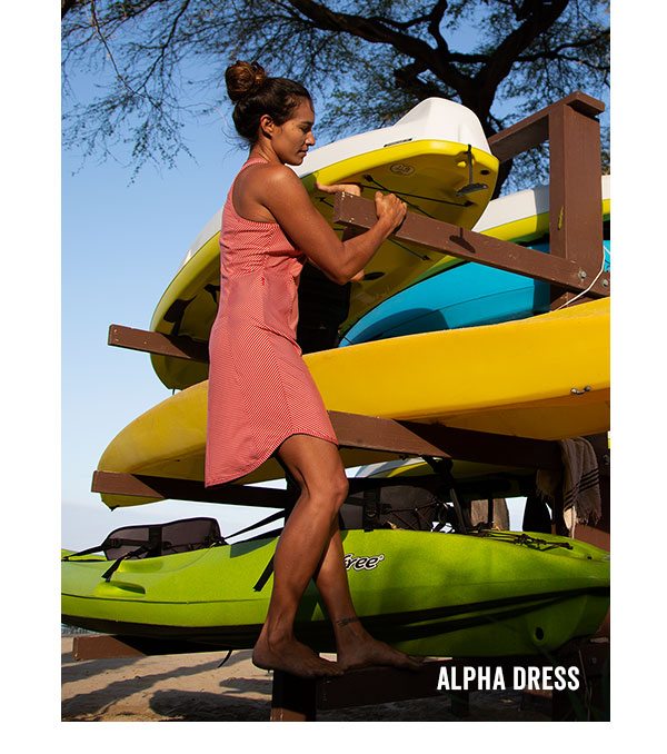 Shop The Alpha Dress >