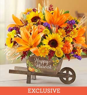 Happy Harvest Wheelbarrow Same-Day Local Florist Delivery SHOP NOW