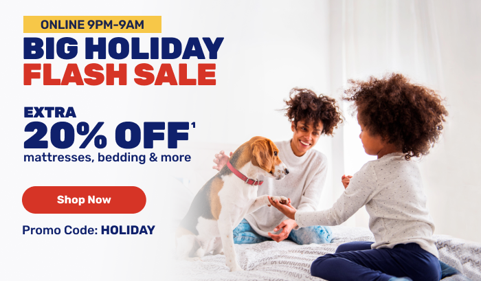 Big Holiday Flash Sale- Extra 20% Off