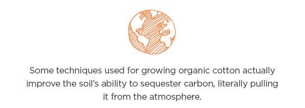 Techniques for growing Organic Cotton can improve soils ability to sequester carbon