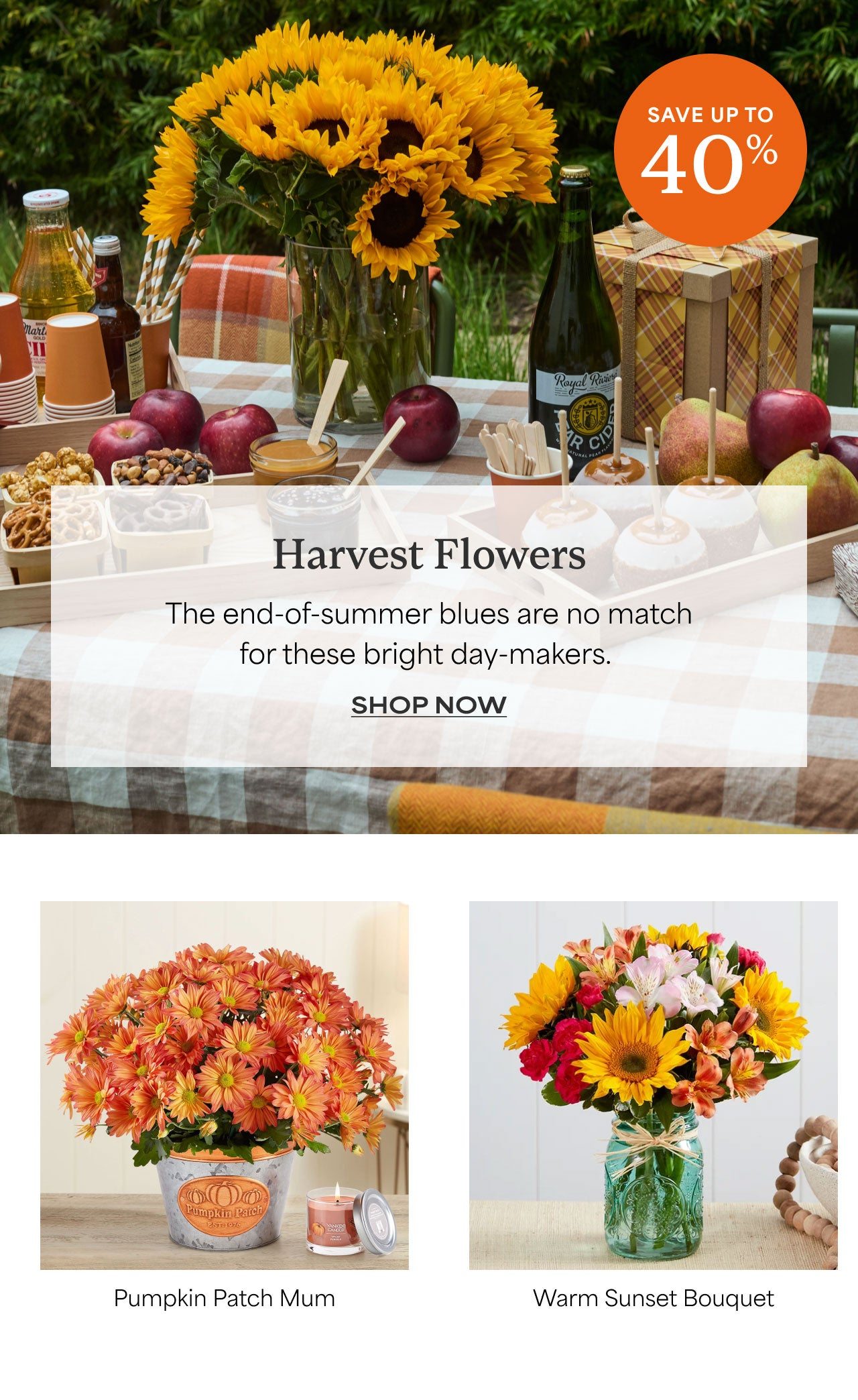 HARVEST FLOWERS