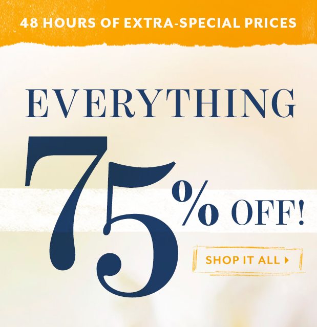 Everything 75% Off. 48 Hours. You're already 3/4 of the way there. →