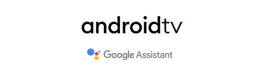 androidtv | Google Assistant