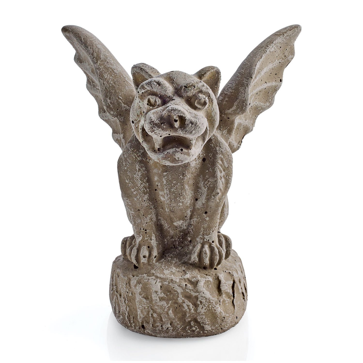 Notre Dame Gargoyles