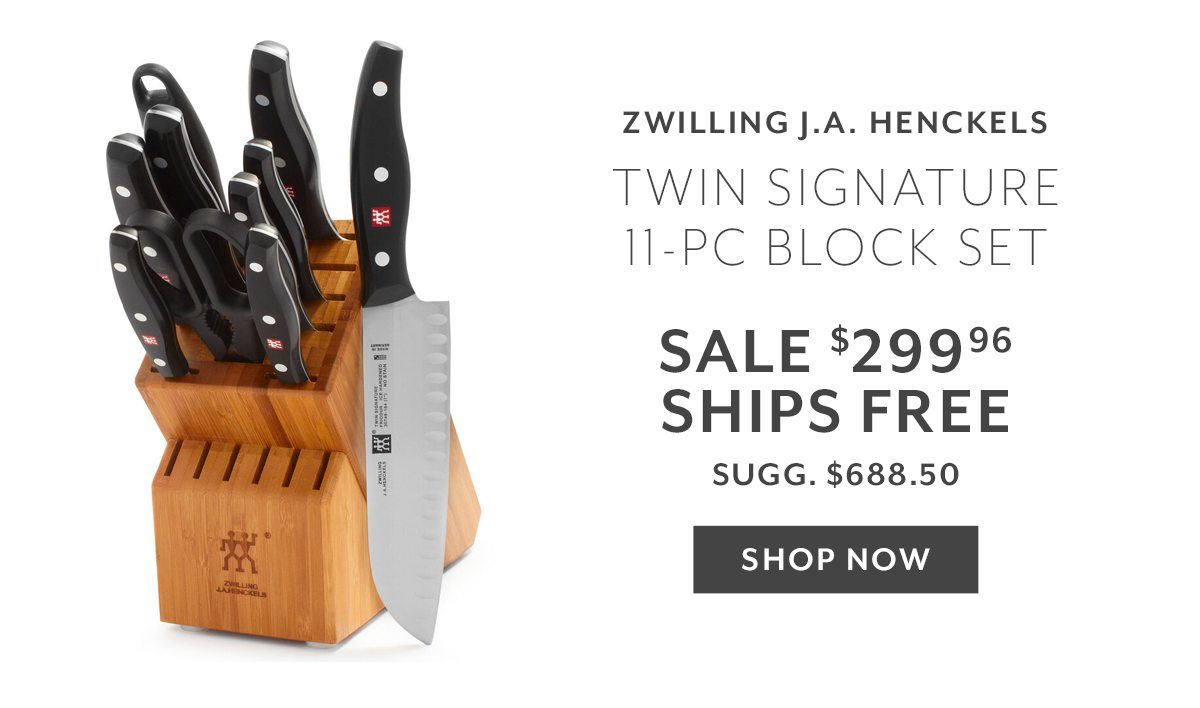 Zwilling Knife Set - 11PC