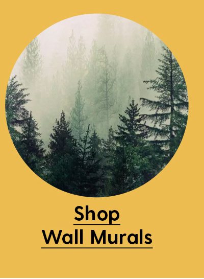 Shop Wall Murals