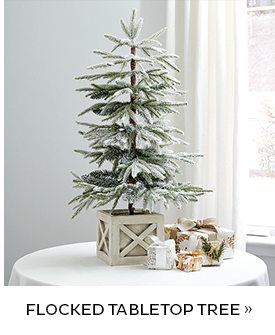 Flocked Tabletop Tree