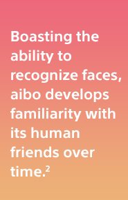 Boasting the ability to recognize faces, aibo develops familiarity with its human friends over time.(2)