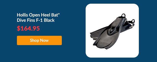 Hollis Open Heel Bat Dive Fins F-1 Black - Shop Now