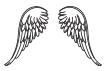 wings icon