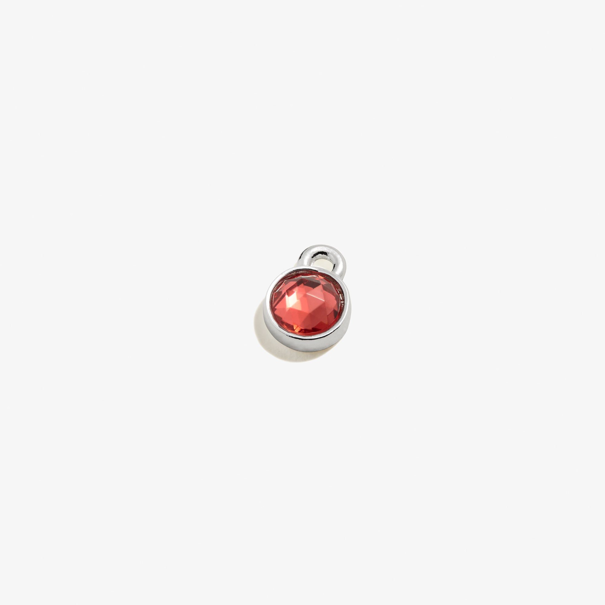 Rose Hoop Earring Charm, Circle